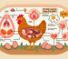 ¿Por donde salen los huevos de la gallina?